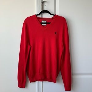 EXPRESS Men’s Knit VNeck Sweater